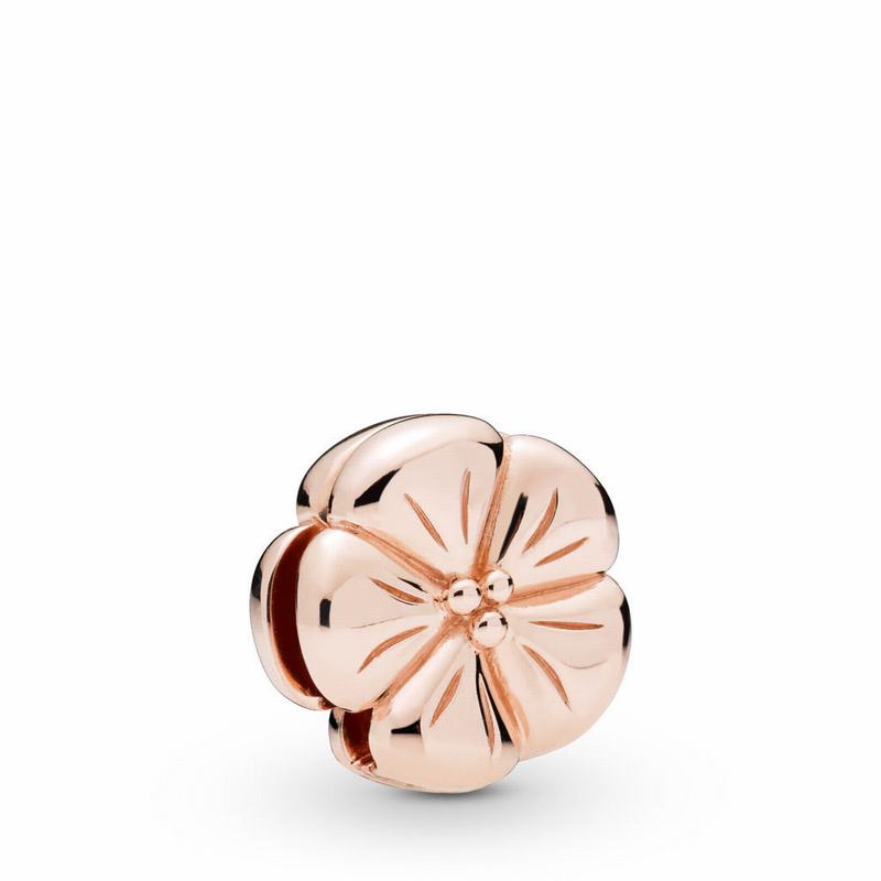 Pandora Rose™ Reflexions™ Classic Flower Clip Charm - Pandora Rose/Silicone - Canada | ZB3447FR